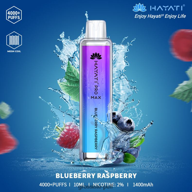 Hayati Pro Max 4000 86Z02155 Blueberry Raspberry