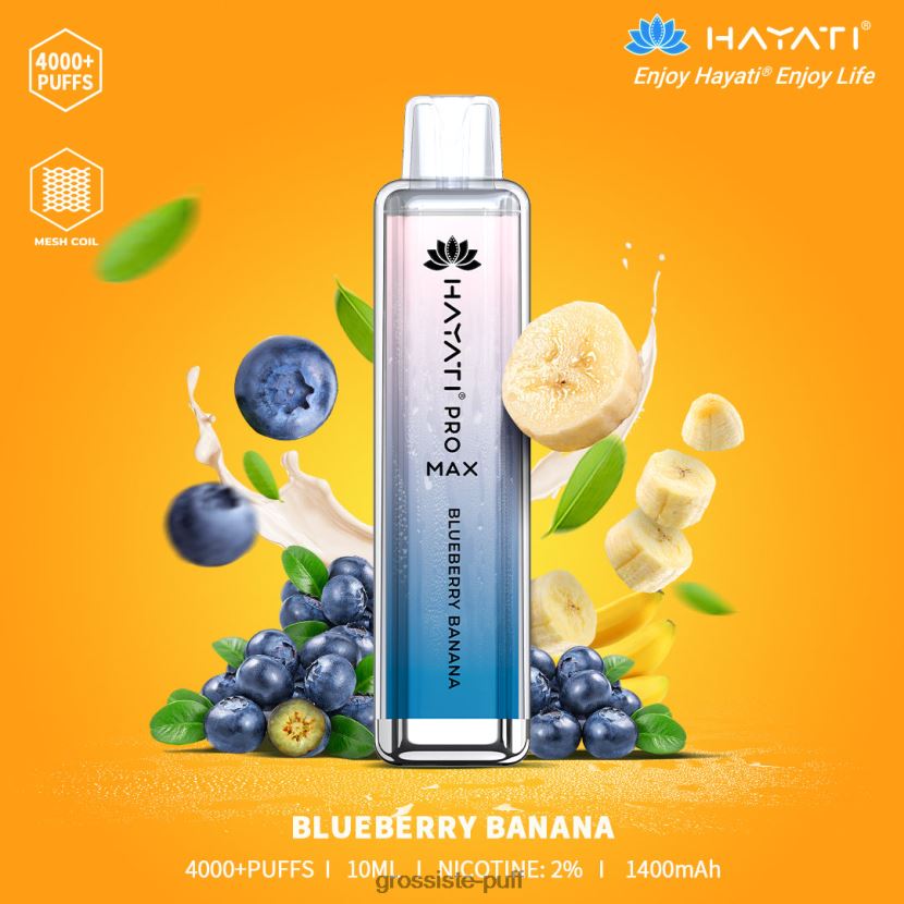 Hayati Pro Max 4000 Blueberry Banana 0FPL40192