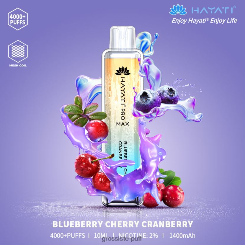 Hayati Pro Max 4000 Blueberry Cherry Cranberry 0FPL40151