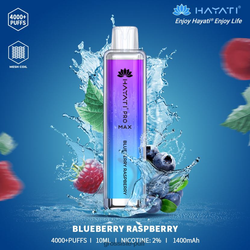 Hayati Pro Max 4000 Blueberry Raspberry 0FPL40153