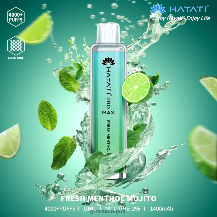 Hayati Pro Max 4000 Fresh Menthol Mojito 0FPL40187