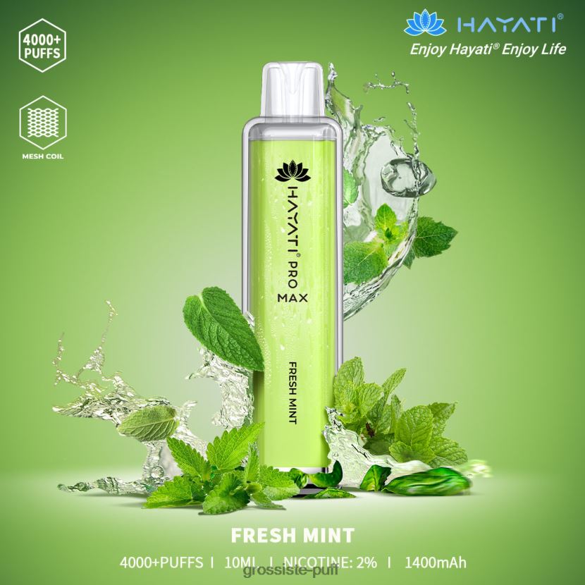 Hayati Pro Max 4000 Fresh Mint 0FPL40158