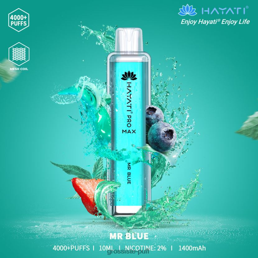 Hayati Pro Max 4000 Mr.Blue 0FPL40167