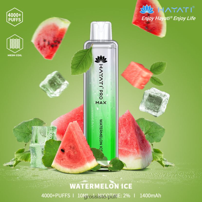 Hayati Pro Max 4000 Watermelon Ice 0FPL40181