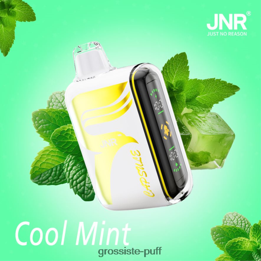 Cool Mint JNR CAPSULE F6D8V223