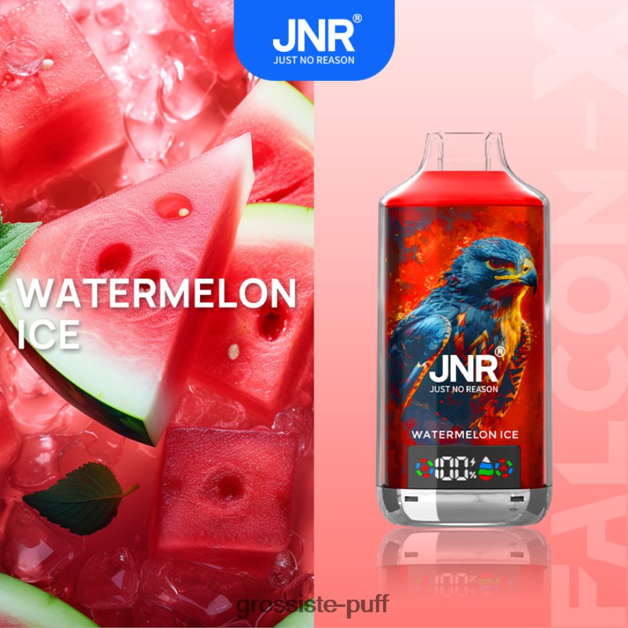 Watermelon Ice JNR FALCON X F8V26D8