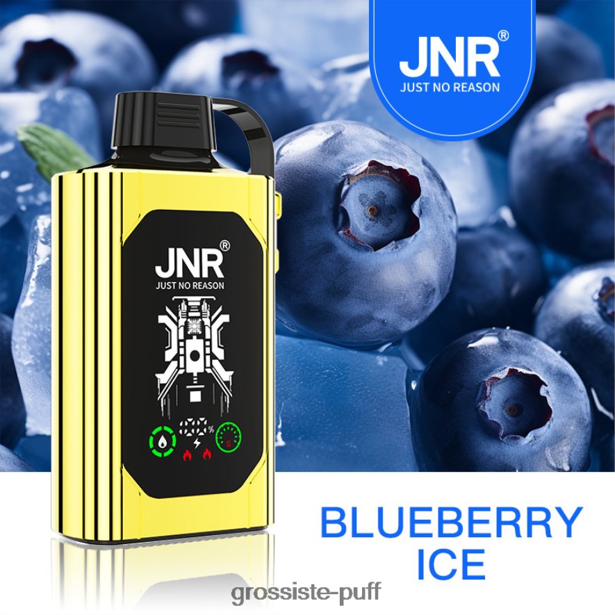 Blueberry Ice JNR SHISHA BOX F6D8V236