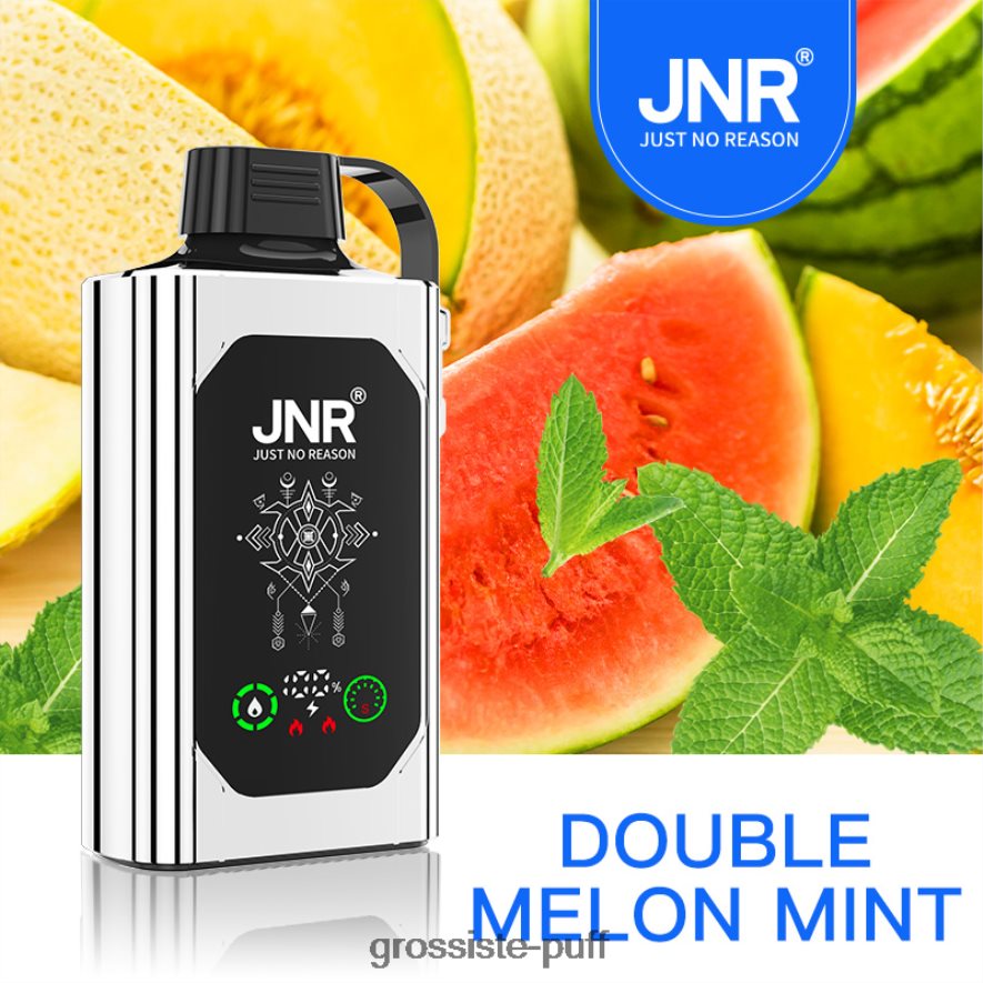 Menthe Double Melon JNR SHISHA BOX F6D8V250