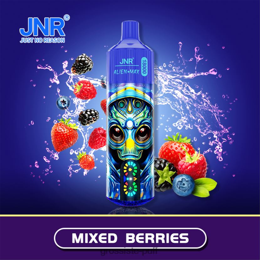 JNR ALIEN MAX Mixed Berries 0FPL40571