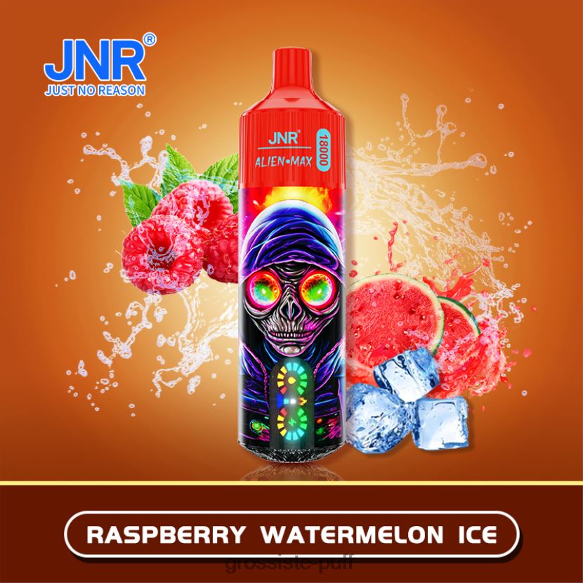 JNR ALIEN MAX Raspberry Watermelon Ice 0FPL40579