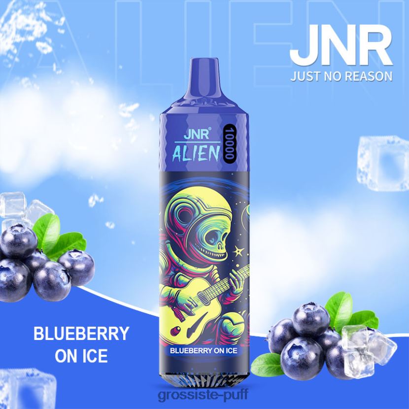 JNR ALIEN Blueberry On Ice 0FPL40639