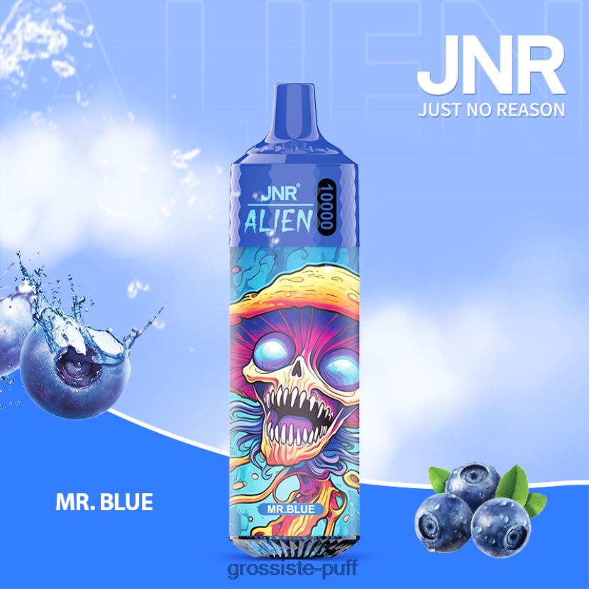 JNR ALIEN Mr.Blue 0FPL40653