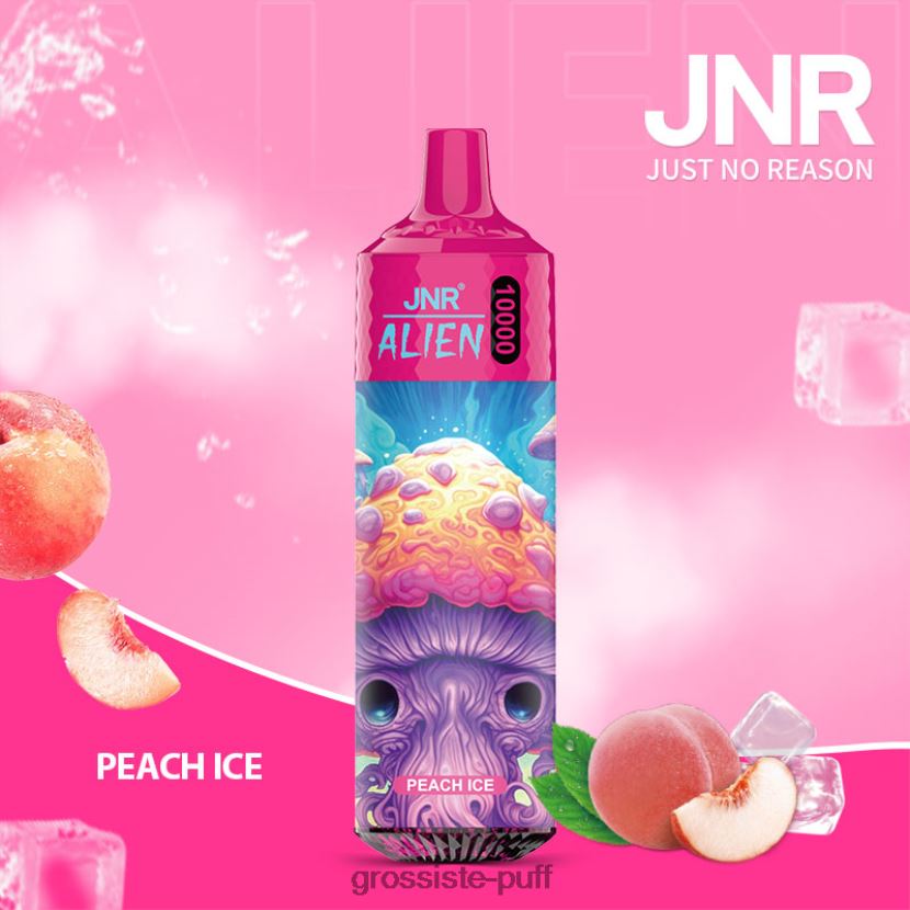 JNR ALIEN Peach Ice 0FPL40657