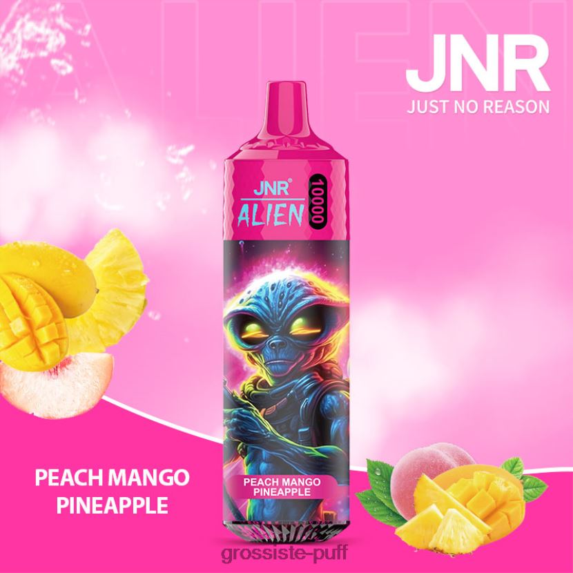 JNR ALIEN Peach Mango Pineapple 0FPL40658