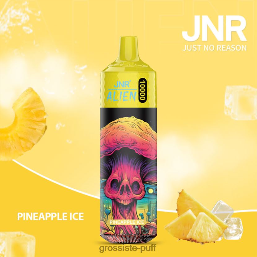 JNR ALIEN Pineapple Ice 0FPL40659