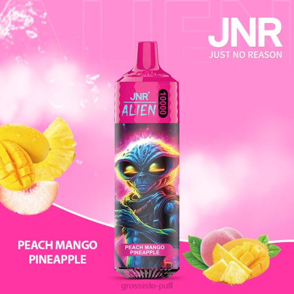 Peach Mango Pineapple JNR ALIEN VBDT116
