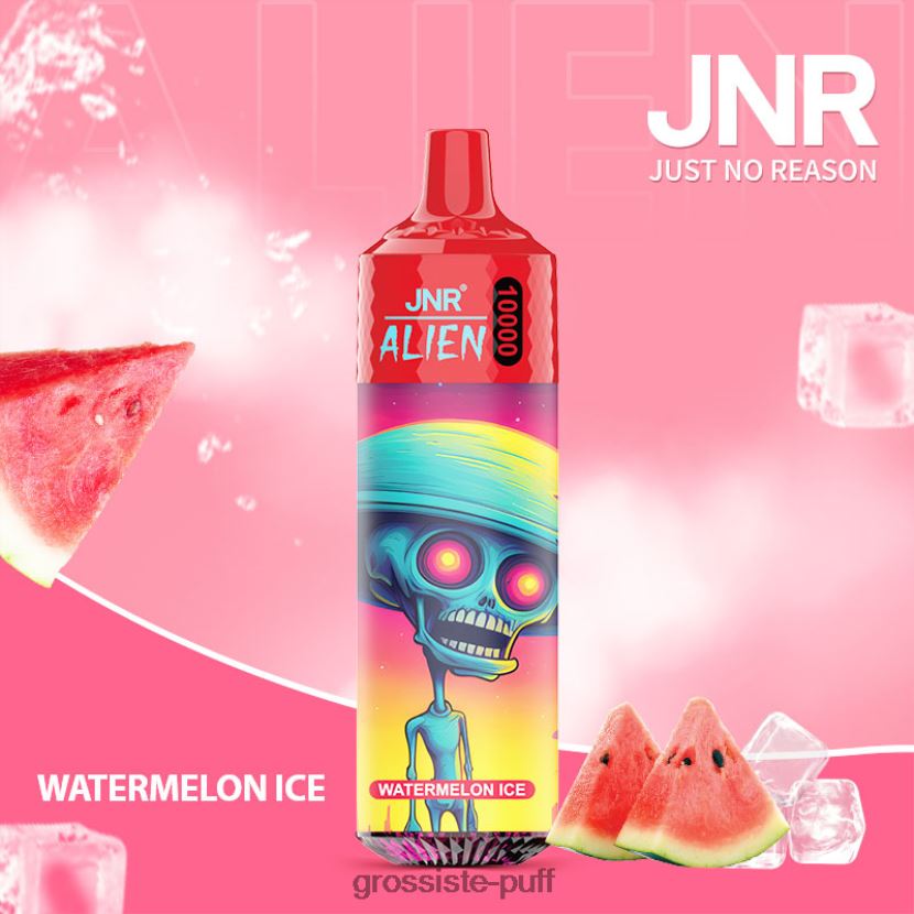 JNR ALIEN Watermelon Ice 0FPL40670