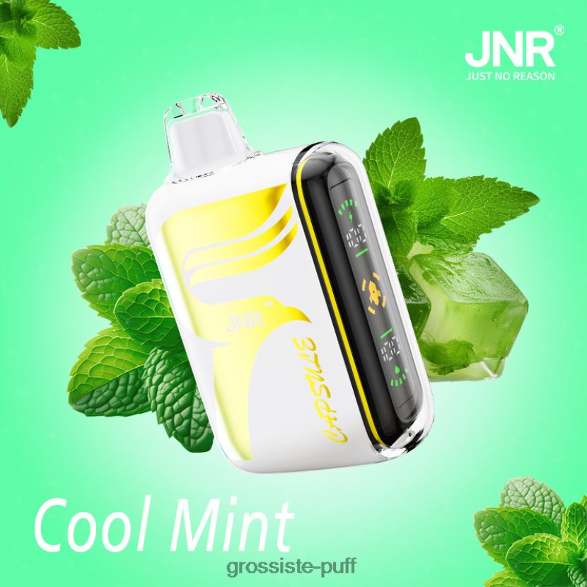 JNR CAPSULE Cool Mint 0FPL40604