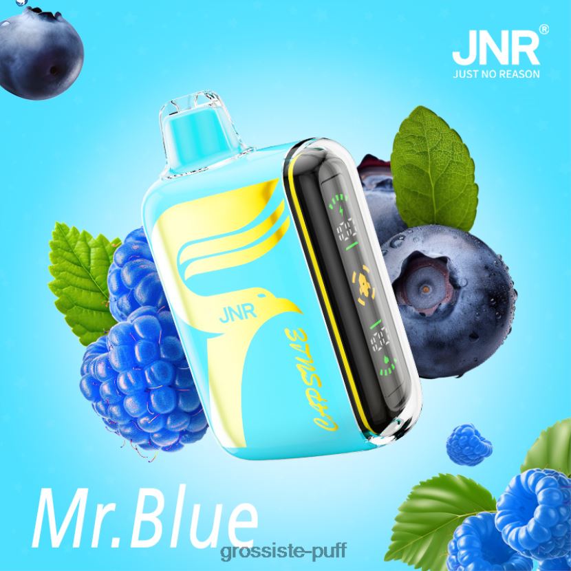 JNR CAPSULE Mr.Blue 0FPL40606