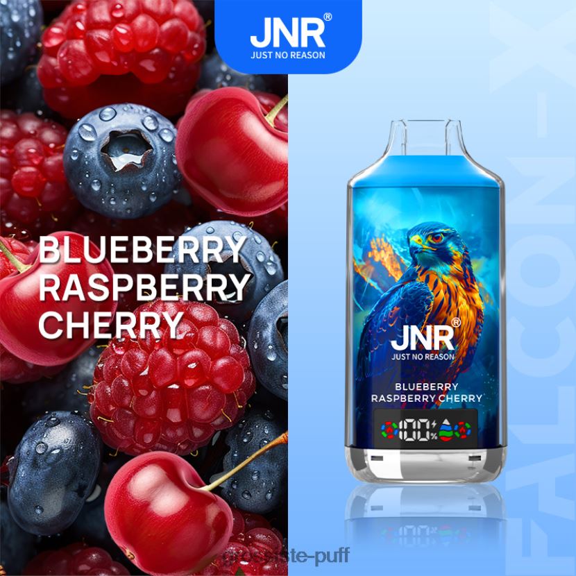 JNR FALCON-X Blueberry Raspberry Cherry 0FPL40558