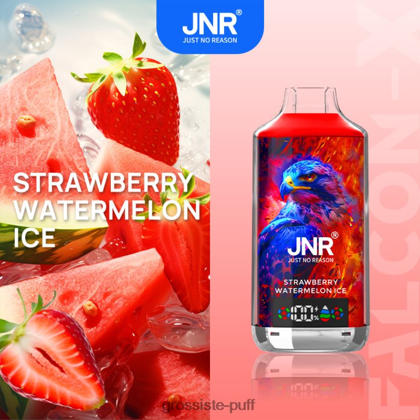 JNR FALCON-X Strawberry Watermelon Ice 0FPL40549