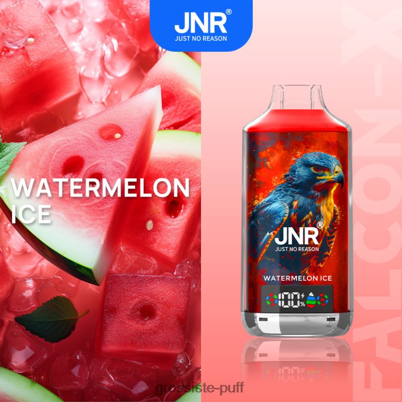 JNR FALCON-X Watermelon Ice 0FPL40550