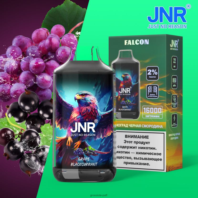 JNR FALCON Grape Blackkcurrant 0FPL40703