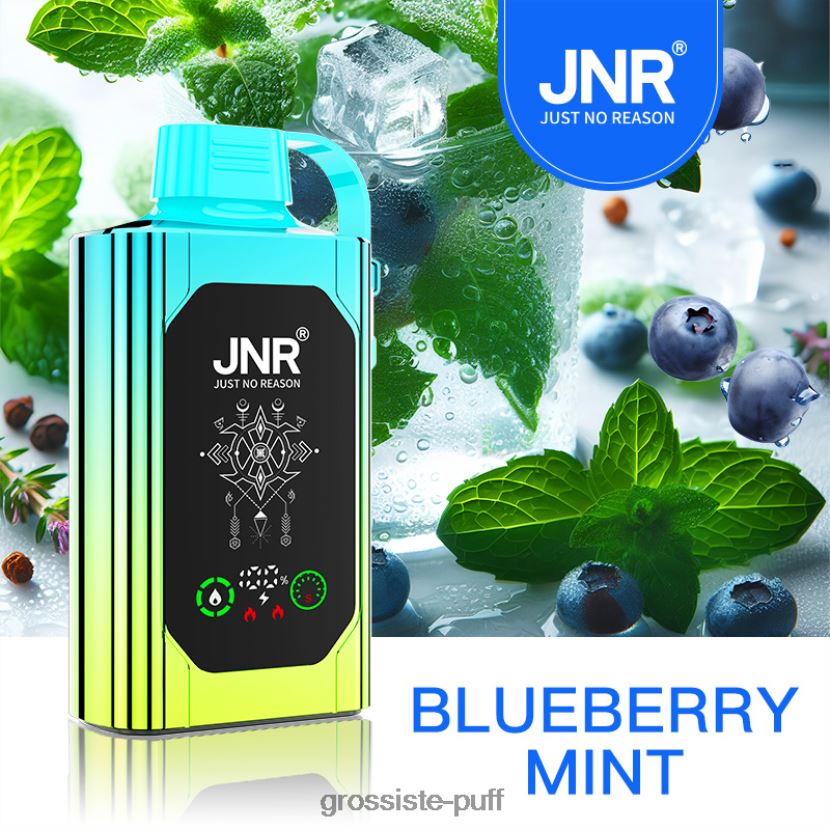 JNR SHISHA BOX Blueberry Mint 0FPL40618