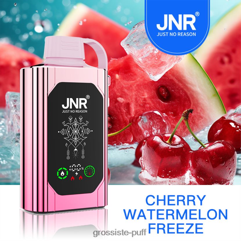 JNR SHISHA BOX Cherry Watermelon Freeze 0FPL40619