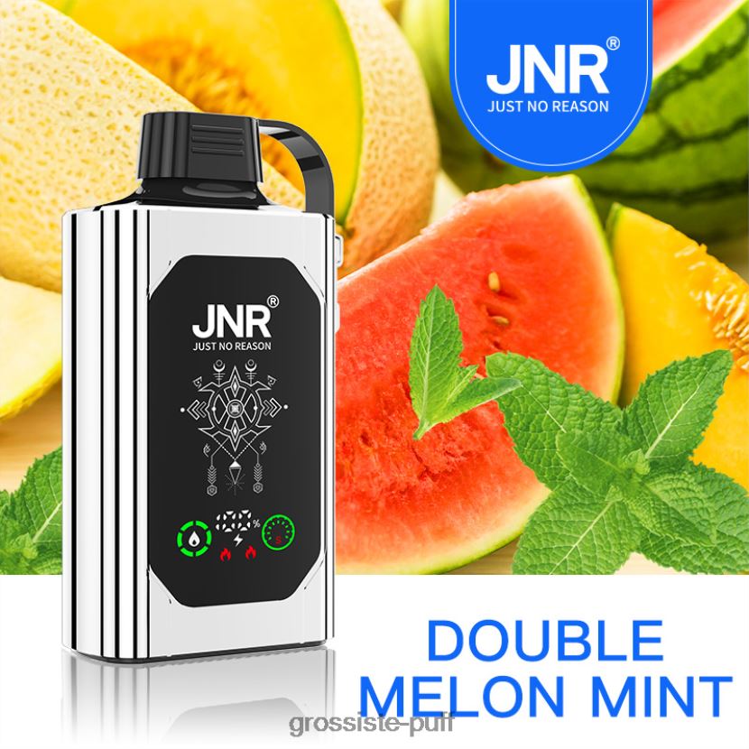 JNR SHISHA BOX Double Melon Mint 0FPL40621