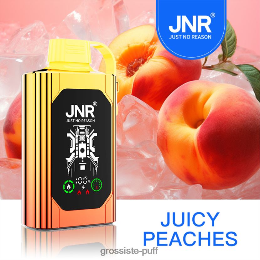 JNR SHISHA BOX Juicy Peaches 0FPL40622