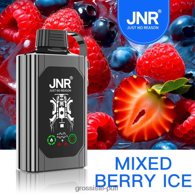 JNR SHISHA BOX Mixed Berry Ice 0FPL40625