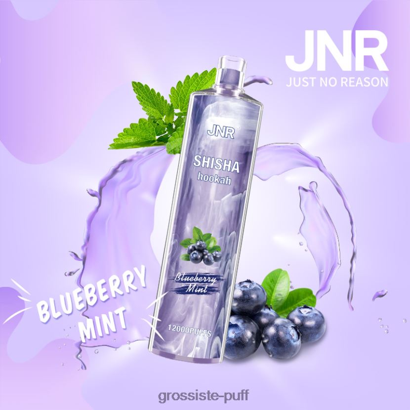 JNR SHISHA Blueberry Mint 0FPL40672