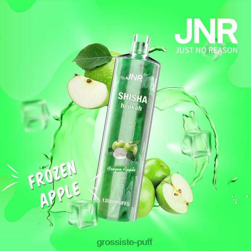 JNR SHISHA Frozen Apple 0FPL40677