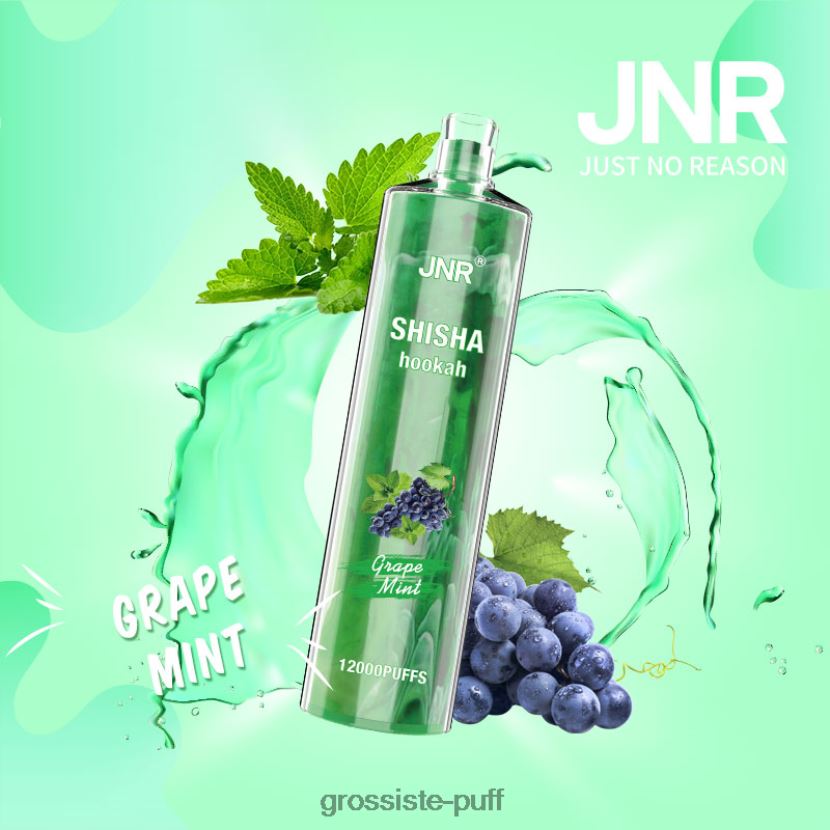 JNR SHISHA Grape Mint 0FPL40678