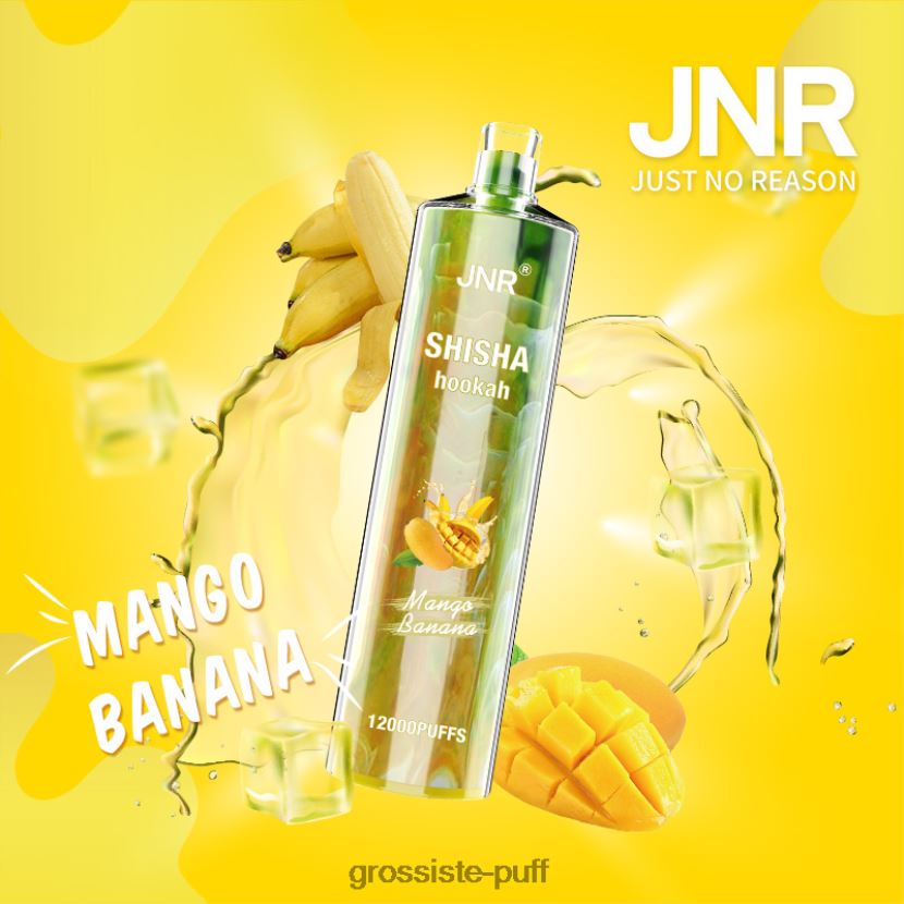 JNR SHISHA Mango Banana 0FPL40684