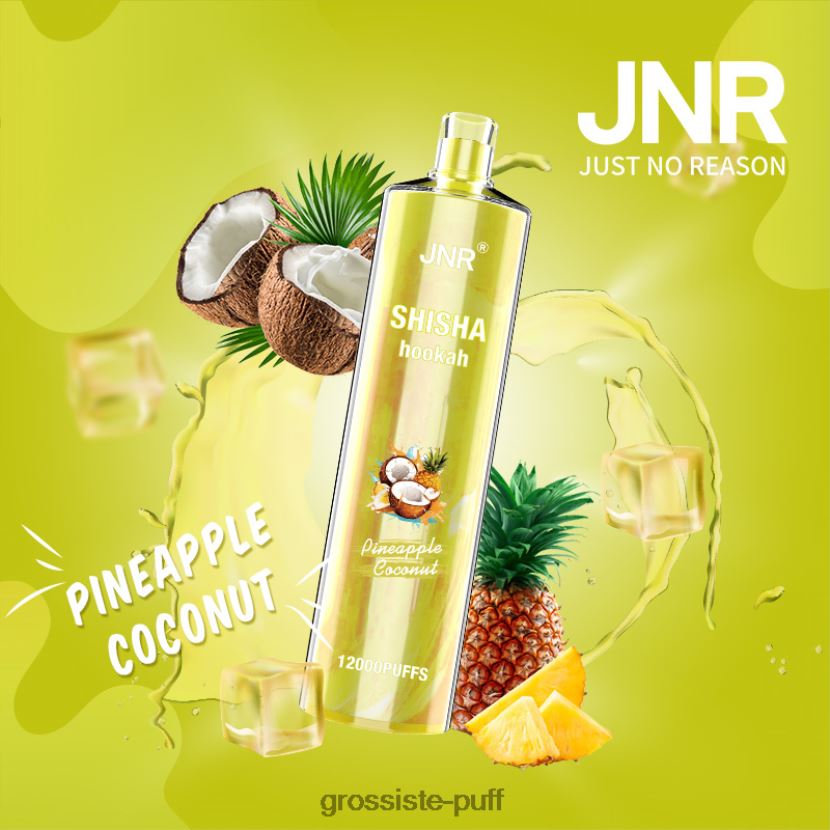 JNR SHISHA Pineapple Coconut 0FPL40686