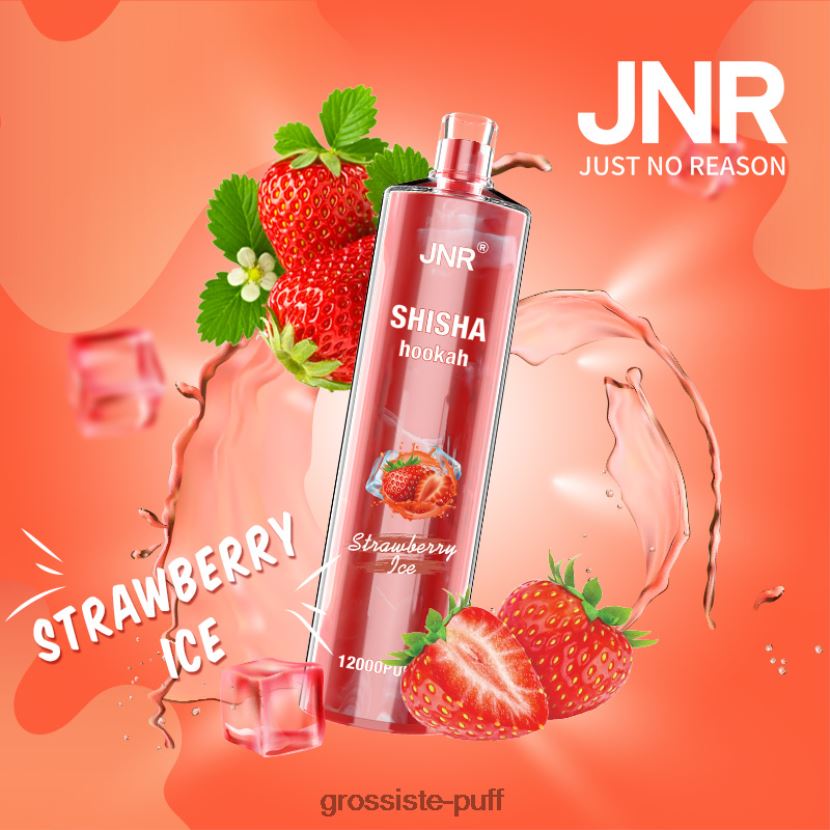 JNR SHISHA Strawberry Ice 0FPL40689