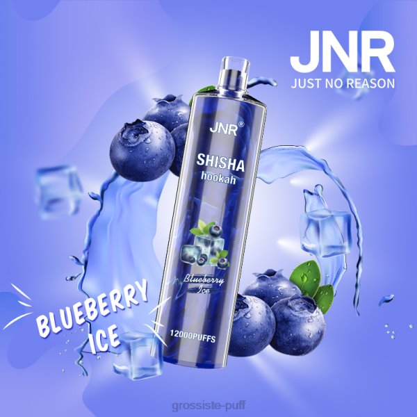 Blueberry Ice JNR SHISHA VBDT129
