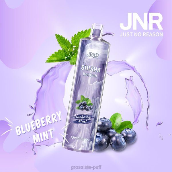 Blueberry Mint JNR SHISHA VBDT130