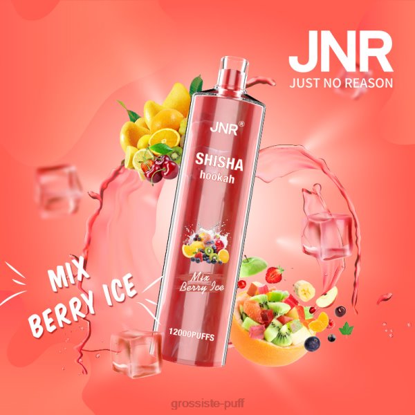 Mix Berry Ice JNR SHISHA VBDT143