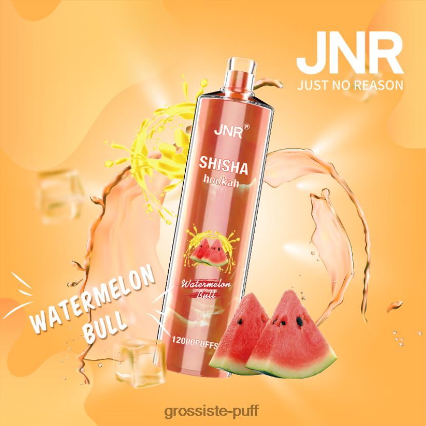 JNR SHISHA Watermelon Bull 0FPL40692