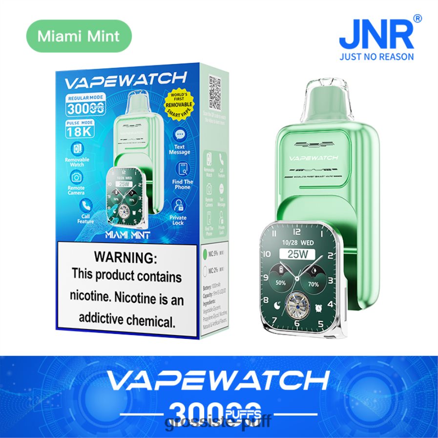 JNR Vape Watch Miami Mint 0NVL428