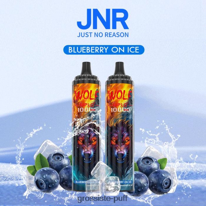 Blueberry On Ice JNR WOLF NIPLO FDQ68V2239