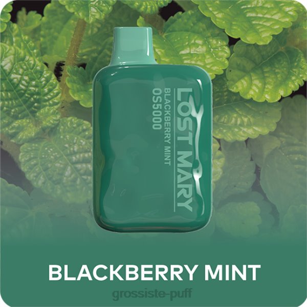 Blackberry Mint Lost Mary OS5000 N88N42