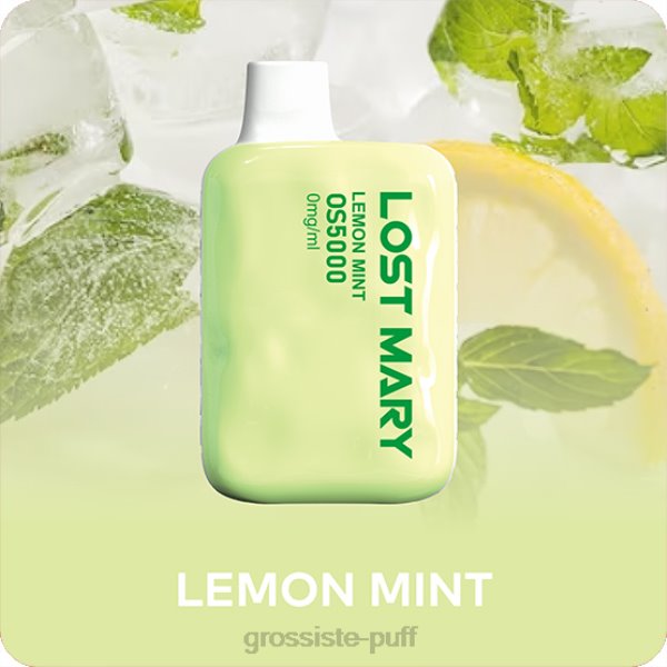 Lemon Mint Lost Mary OS5000 N88N56