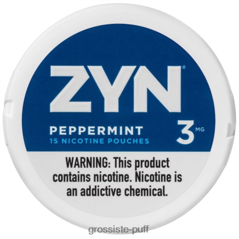 ZYN Nicotine Pouch 3mg Peppermint 0FPL4028