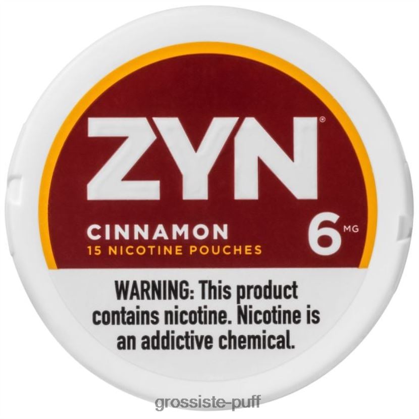 ZYN Nicotine Pouch 6mg Cinnamon 0FPL4019