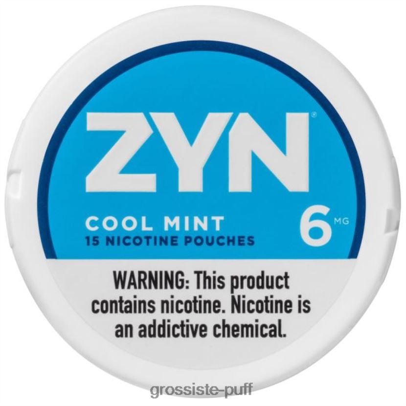 ZYN Nicotine Pouch 6mg Cool Mint 0FPL4016