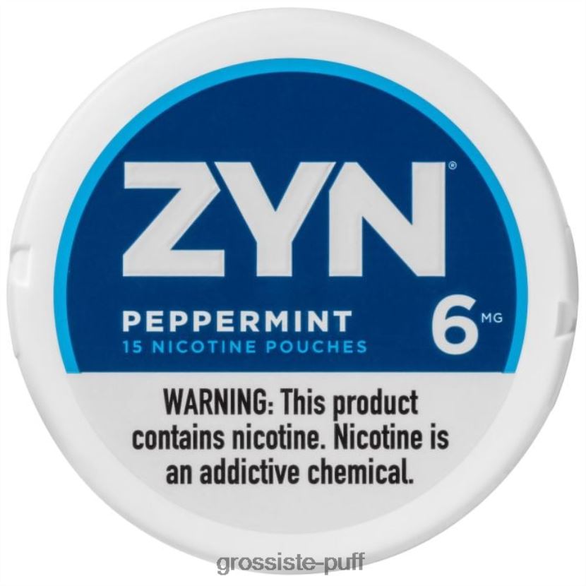 ZYN Nicotine Pouch 6mg Peppermint 0FPL4018